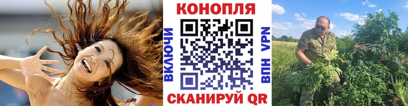 Бошки марихуана гибрид Южно-Сухокумск